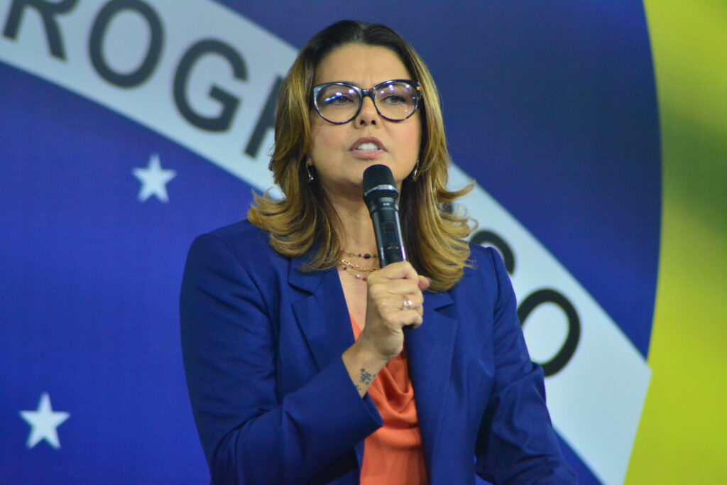 Para propor o substitutivo, Leila Barros ouviu profissionais da saúde, como psiquiatras, psicólogas, neonatologistas, pediatras e enfermeiras, de vários órgãos e regiões do Brasil